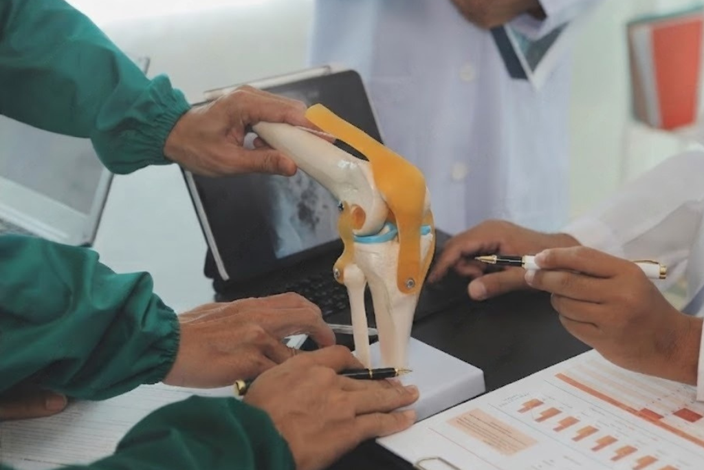 Orthopaedic & Knee Replacement